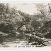 On the River Tilt.