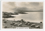 On Kerrera Island.