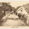 A Devon lane.