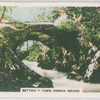 Bettws-y-Coed. Roman Bridge.
