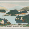 Killarney. In the Upper Lake.