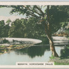 Berwyn. Horseshoe Falls.