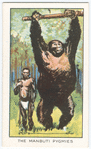 The Manbuti pygmies