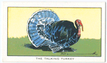 The talking turkey