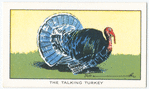 The talking turkey