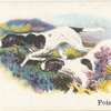 Pointer.