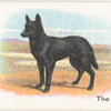 The Kelpie.