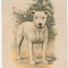 Bull Terrier.