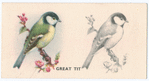 Great Tit.