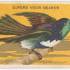 Superb visor bearer.