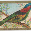 Blue headed tanager.