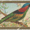 Blue headed tanager.