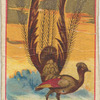 Lyre.