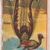 Lyre.