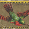 Humming bird.