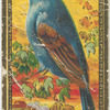 Blue grosbeak.