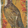 Quail.
