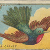 De rhami garnet.