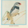 Dimond Sparrow.
