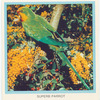 Superb Parrot.