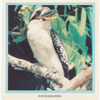 Kookaburra.