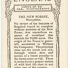 The New Forest.