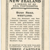 Bush Road, Westland.