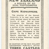 Cape Kidnappers.