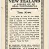 Kiwi.