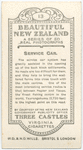 Service car.