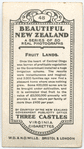 Fruit lands, Otago.