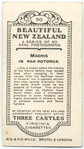 Maoris in Pah, Rotorua.