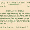 Caernarvon Castle.