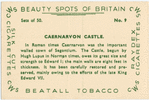 Caernarvon Castle.
