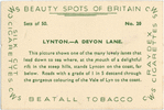 A Devon lane.