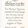 The Manbuti pygmies