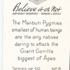 The Manbuti pygmies