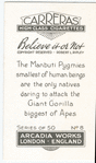 The Manbuti pygmies