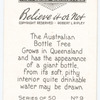 The Australian bottle tree