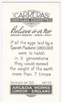 A champion egg layer