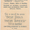 Airedale.