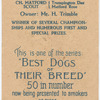 Field Spaniel.