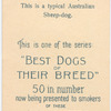 The Kelpie.