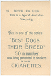 The Kelpie.