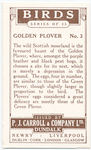 Golden Plover.