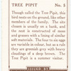 Tree Pipit.