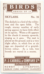 Skylark.