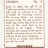 Cuckoo.