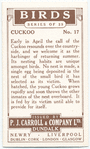 Cuckoo.