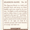 Sparrow-Hawk.